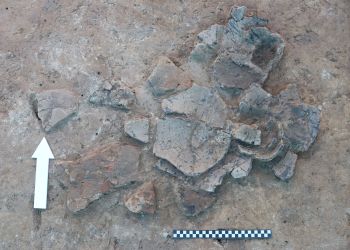 Archeolodzy z UR odkryli w Orłach pozostałości eneolitycznej osady i średniowiecznego cmentarzyska