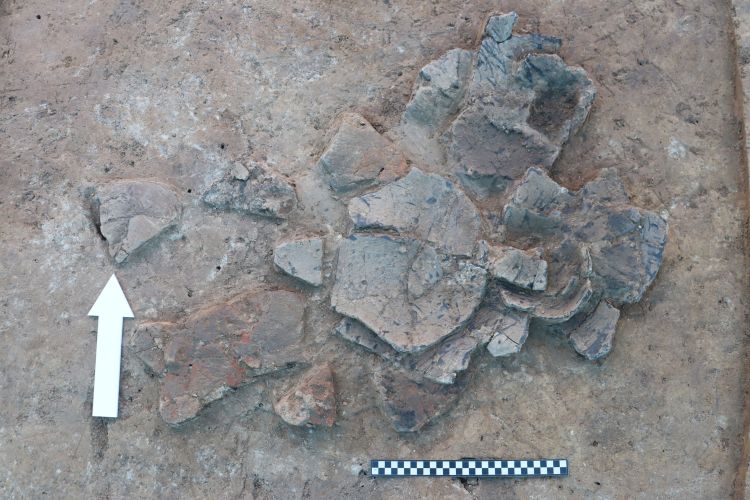 Archeolodzy z UR odkryli w Orłach pozostałości eneolitycznej osady i średniowiecznego cmentarzyska