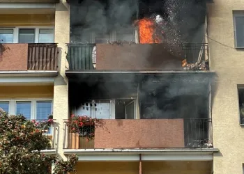 Zakończono akcję gaszenia pożaru w Stalowej Woli 2 - Polskie Radio Rzeszów Zakończono akcję gaszenia pożaru w Stalowej Woli