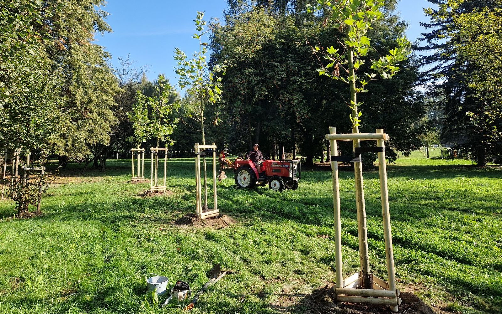 Rzeszów zazieleni się jeszcze bardziej. Ponad 8 tysięcy nowych roślin