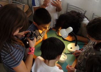 Niebawem rozpocznie się kolejny semestr Dziecięcego Uniwersytetu Technicznego