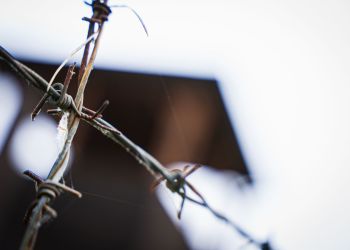 Podkarpacie upamiętnia 86. rocznicę sowieckiej agresji i Światowy Dzień Sybiraka