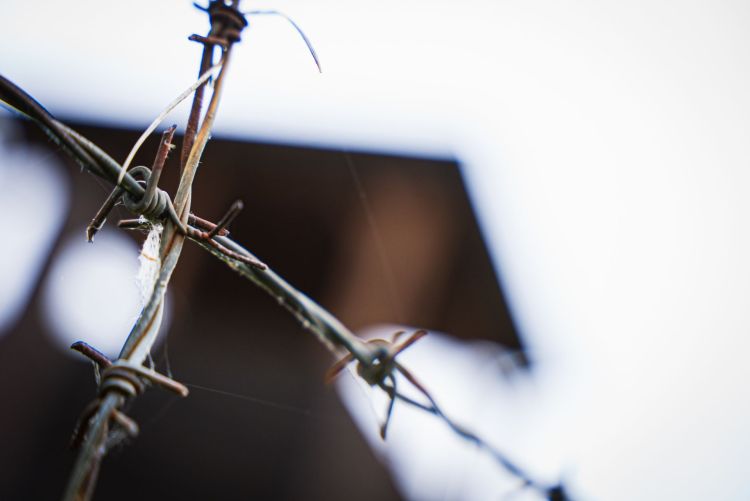 Podkarpacie upamiętnia 86. rocznicę sowieckiej agresji i Światowy Dzień Sybiraka