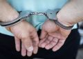 Bieszczadzki Oddział SG&nbsp;zatrzymał kolejnych poszukiwanych przez&nbsp;Interpol