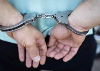 Bieszczadzki Oddział SG zatrzymał kolejnych poszukiwanych przez Interpol