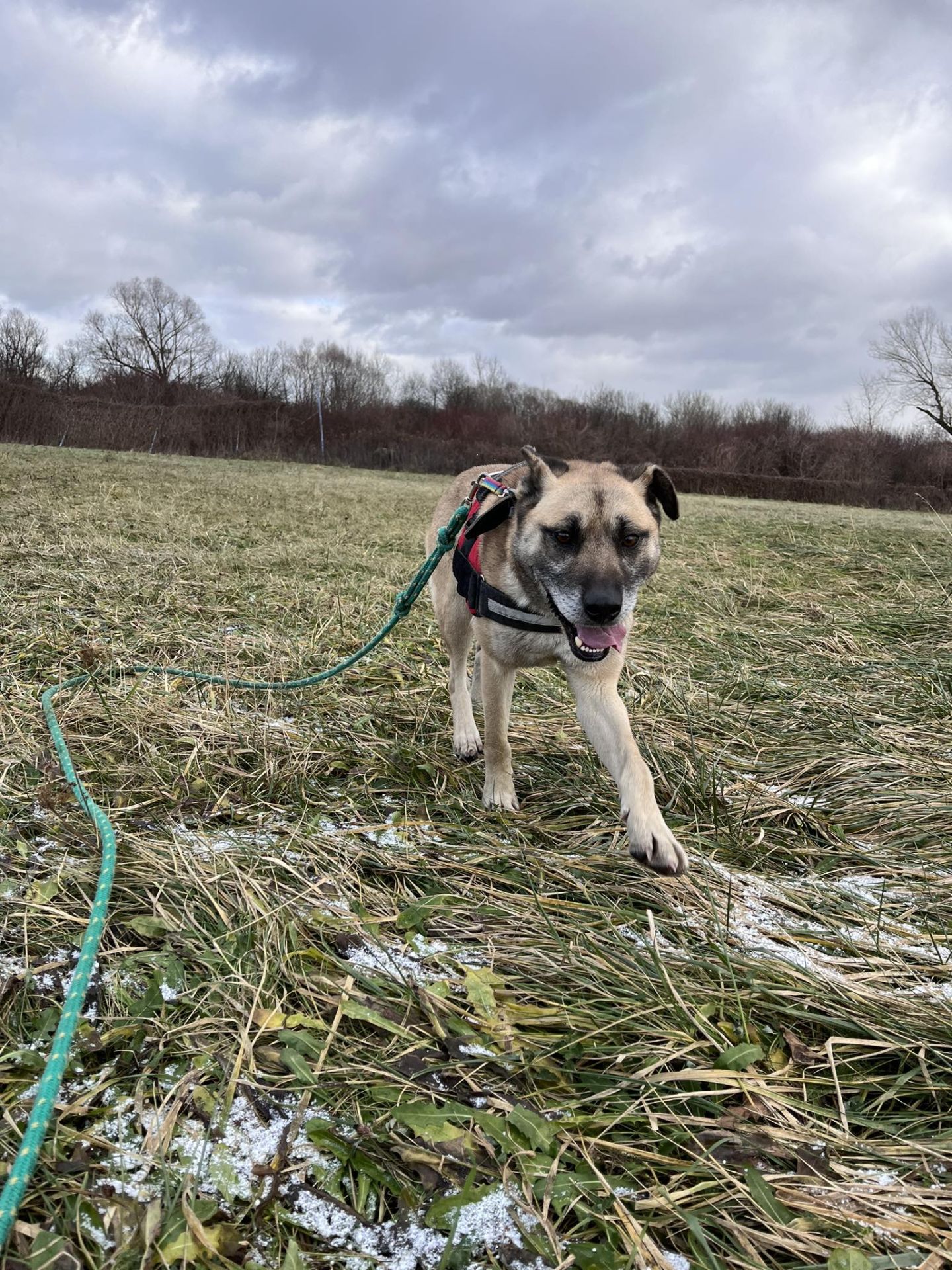 Konkurs plastyczny do serii „Pożyteczne Opowieści Pysi Zającówny” - Polskie Radio Rzeszów