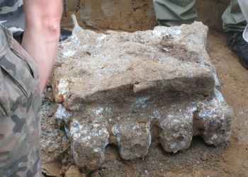 Sensacyjne znalezisko w Szebniach: silnik polskiego samolotu z 1939 roku wydobyty z ziemi [ZDJĘCIA]