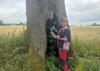 Gdzie nogi poniosą? Do rezerwatu „Źródliska Jasiołki”