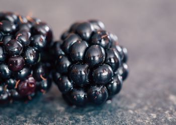 Jeżyny to bogactwo witamin i minerałów