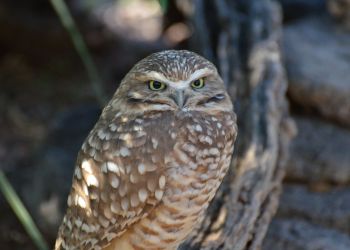 Miłość tak mocna, że aż strach