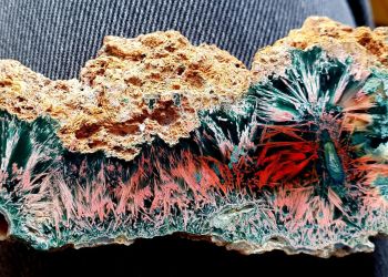 Minerały i bursztyny na weekendowej wystawie w Rzeszowie