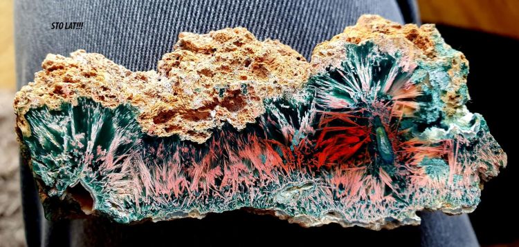 Minerały i bursztyny na weekendowej wystawie w Rzeszowie 1 - Polskie Radio Rzeszów Minerały i bursztyny na weekendowej wystawie w Rzeszowie