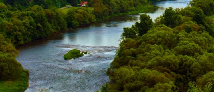 Modernizacja ok. 20 km wałów przeciwpowodziowych na Sanie