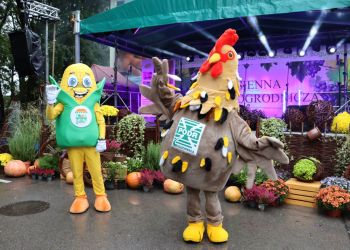 Zbliża się Jesienna Giełda Ogrodnicza w Boguchwale!