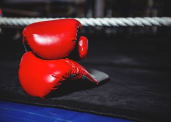 Porażka Wisłoka w Polskiej Lidze Boksu