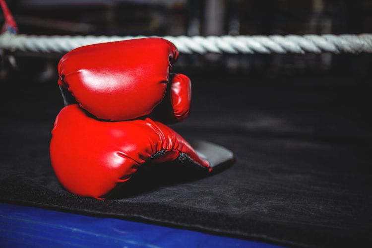 Porażka Wisłoka w Polskiej Lidze Boksu