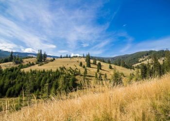 Pogoda w Bieszczadach idealna na wędrówki