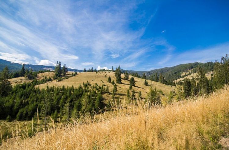 Pogoda w Bieszczadach idealna na wędrówki