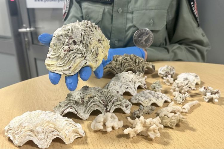 Podkarpacka KAS udaremniła przemyt chronionych gatunków 1 - Polskie Radio Rzeszów Podkarpacka KAS udaremniła przemyt chronionych gatunków