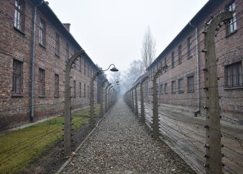 PK: Wniosek o uchylenie immunitetu G. Brauna ws. zaprzeczania zbrodniom w KL Auschwitz trafił do PE