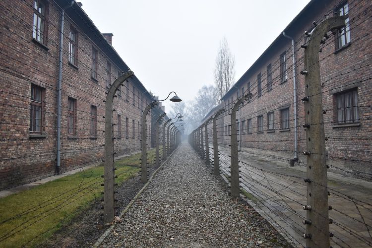 PK: Wniosek o uchylenie immunitetu G. Brauna ws. zaprzeczania zbrodniom w KL Auschwitz trafił do PE