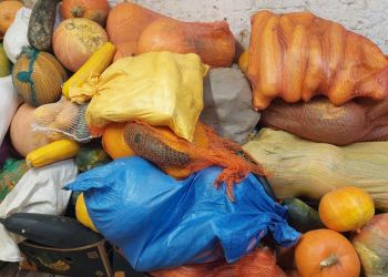 Towarzystwo Brata Alberta w Rzeszowie prowadzi zbiórkę żywności dla potrzebujących