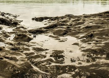 Ponad 1 tys. osób zginęło w osuwisku w górach Marra w Sudanie