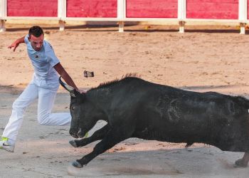 Festiwal „Sanfermines” podsyca protesty przeciwko wykorzystywaniu zwierząt