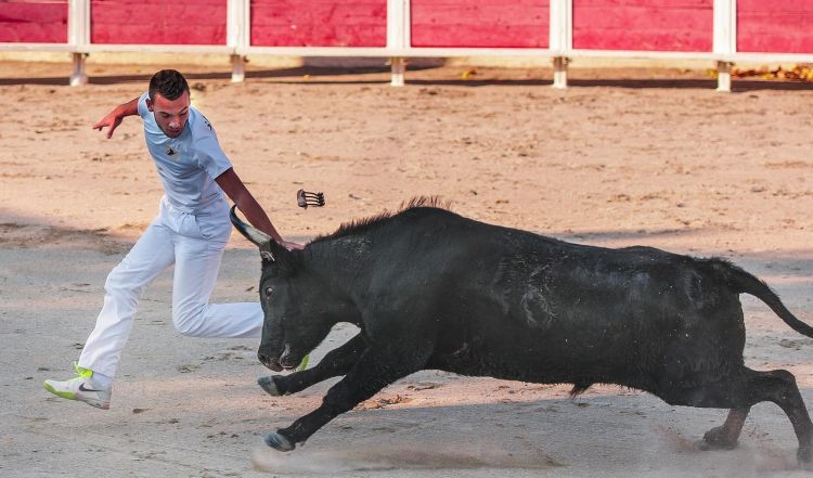 Festiwal „Sanfermines” podsyca protesty przeciwko wykorzystywaniu zwierząt