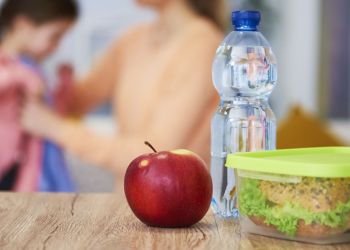 Śniadaniowe pudełka w polszczyźnie: śniadaniówka, kanapownik, kanapnik czy lunchbox?