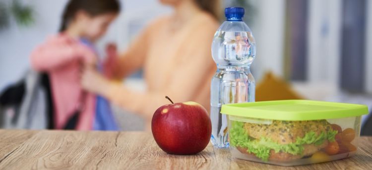 Śniadaniowe pudełka w polszczyźnie: śniadaniówka, kanapownik, kanapnik czy lunchbox?