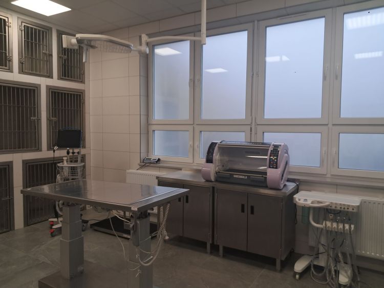 Branżowe Centrum Umiejętności otwarte w Trzcianie