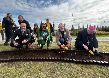 Zasadzili cebulki żonkili dla Hospicjum. Pola Nadziei zakwitną po raz szósty