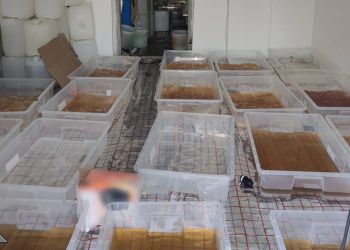 Policja likwiduje laboratoria narkotykowe na Podkarpaciu. Wartość zabezpieczonych psychotropów to 145 mln zł [WIDEO, ZDJĘCIA]