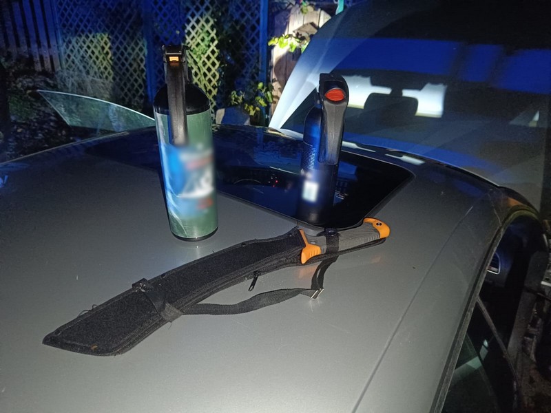 Pościg za kierowcą. W aucie czterech pasażerów, maczeta, siekiera i miotacze gazu [WIDEO] - Polskie Radio Rzeszów