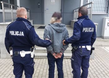 Ignorował sądowe zakazy „bo musiał dojeżdżać do pracy”. Kara więzienia za upór za kółkiem