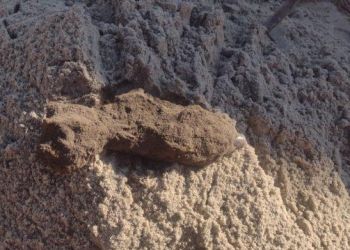 Pocisk na posesji. Policja musiała ewakuować mieszkańców pięciu domów