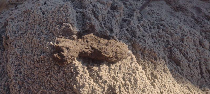 Pocisk na posesji. Policja musiała ewakuować mieszkańców pięciu domów