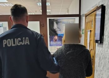 Rok więzienia i dożywotni zakaz jazdy dla pijanej 52-latki