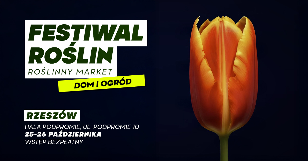 Festiwal Roślin w Rzeszowie. Setki gatunków i darmowy wstęp dla miłośników zieleni - Polskie Radio Rzeszów