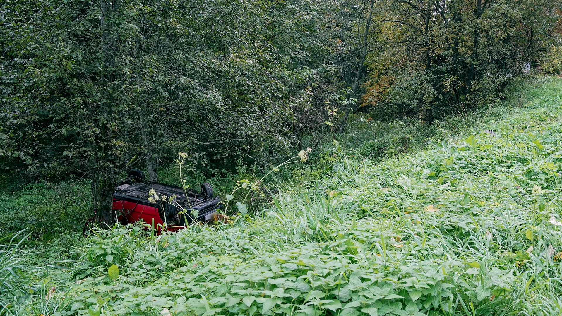 Wypadek w powiecie bieszczadzkim. Samochód wypadł z drogi [ZDJĘCIA] - Polskie Radio Rzeszów