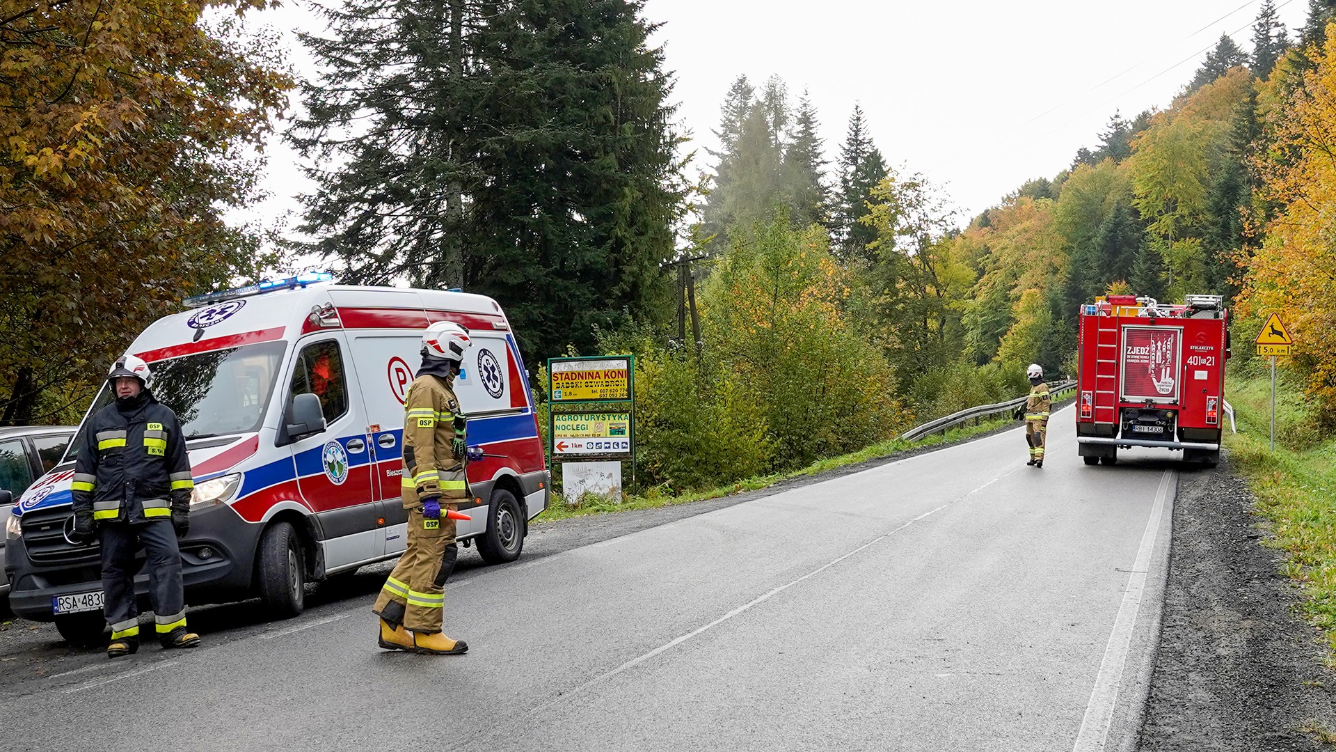 Wypadek w powiecie bieszczadzkim. Samochód wypadł z drogi [ZDJĘCIA] - Polskie Radio Rzeszów