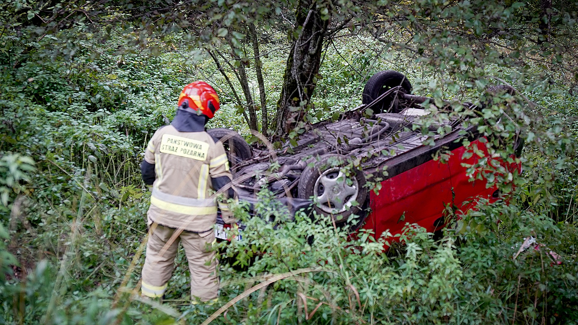 Wypadek w powiecie bieszczadzkim. Samochód wypadł z drogi [ZDJĘCIA]