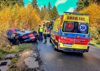 Groźny wypadek w okolicy Arłamowa. Sześć osób trafiło do szpitala [ZDJĘCIA]