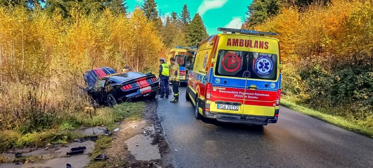 Groźny wypadek w okolicy Arłamowa. Sześć osób trafiło do szpitala [ZDJĘCIA]
