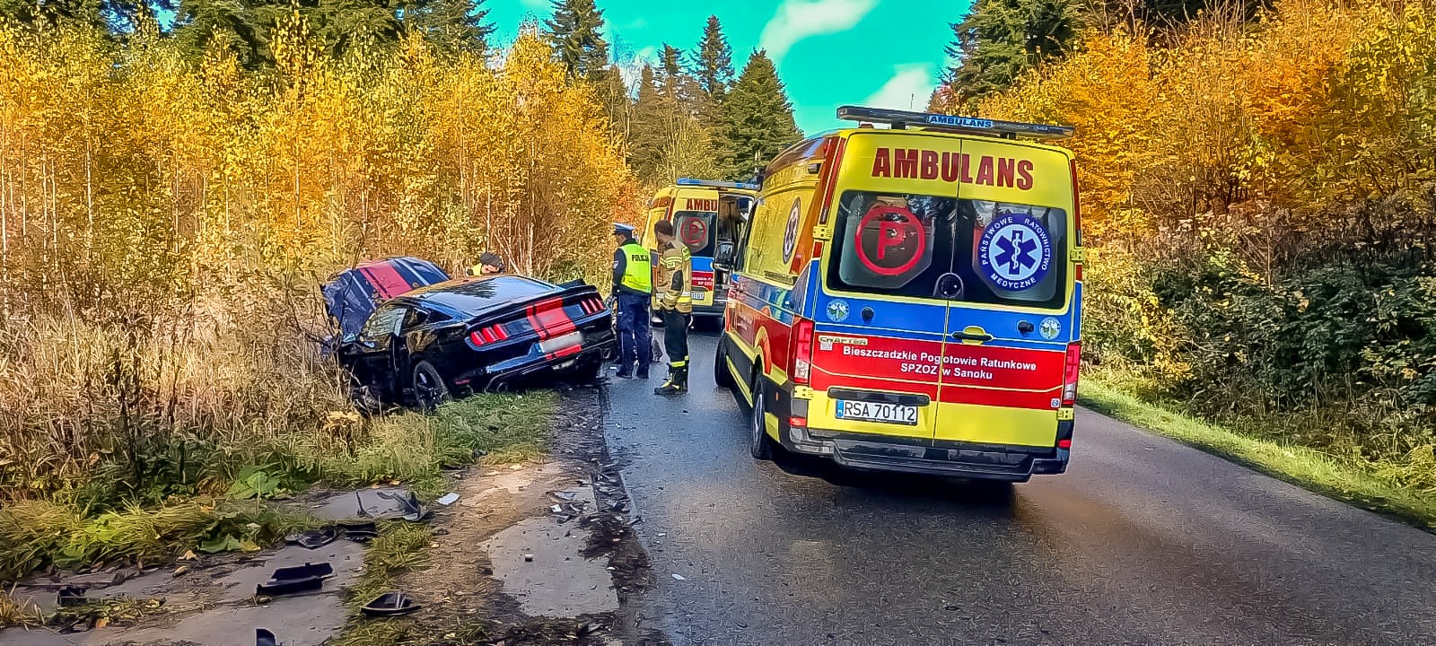 Groźny wypadek w okolicy Arłamowa. Sześć osób trafiło do szpitala [ZDJĘCIA]