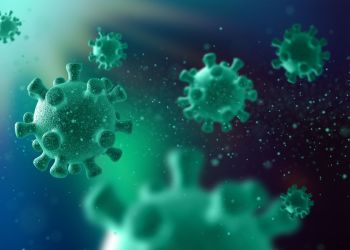 Bakterie i wirusy – część 1