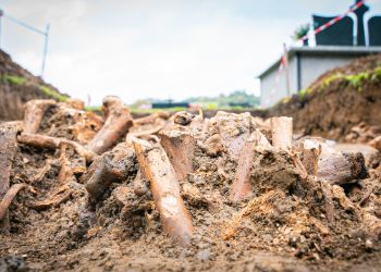 Na cmentarzu w Baligrodzie odkryto szczątki żołnierzy z I wojny światowej [ZDJĘCIA]