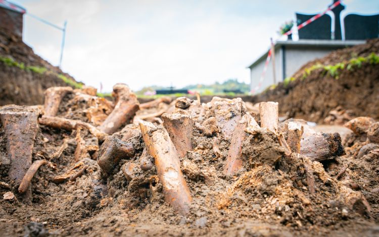 Na cmentarzu w Baligrodzie odkryto szczątki żołnierzy z I wojny światowej [ZDJĘCIA]