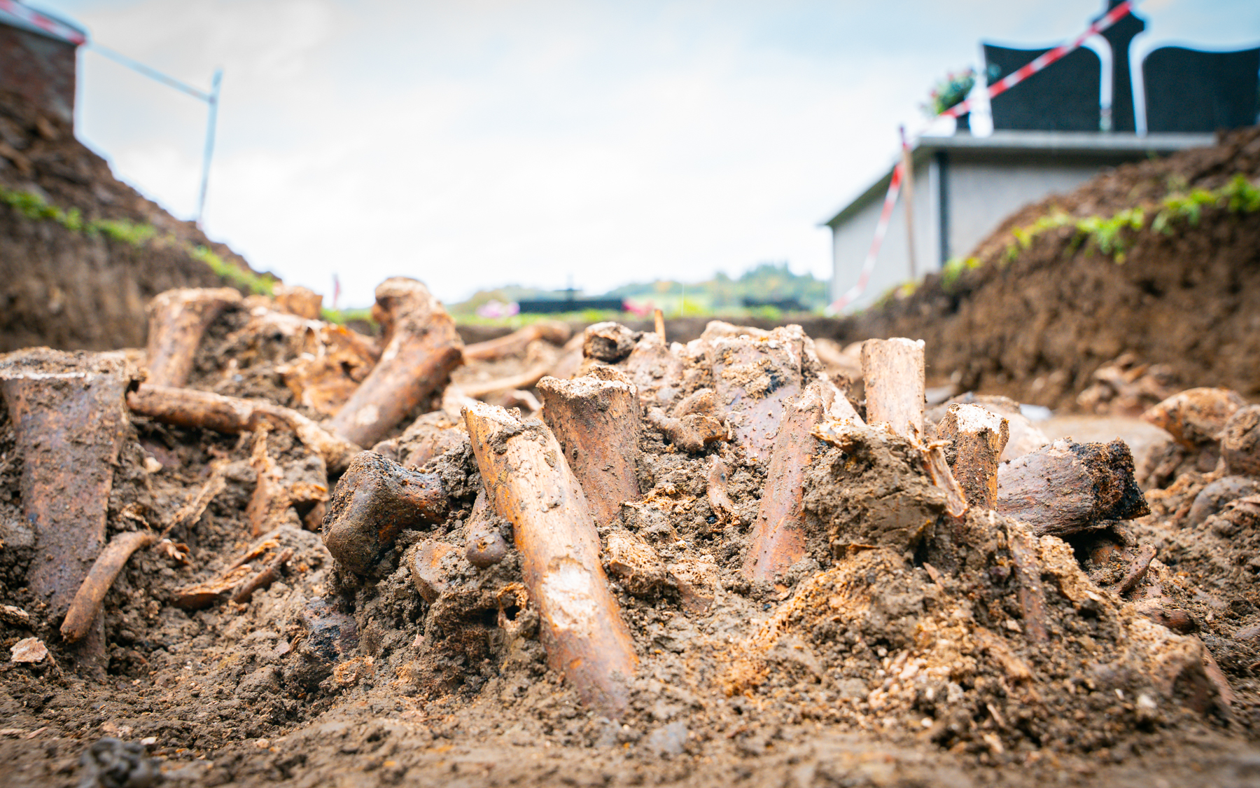 Na cmentarzu w Baligrodzie odkryto szczątki żołnierzy z I wojny światowej [ZDJĘCIA]